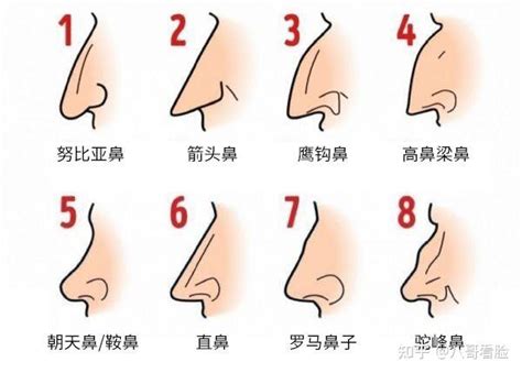 鼻 相學|14种鼻型图解 最全鼻子看相解读命运